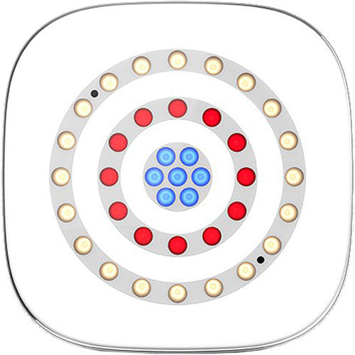 CHAUVET DJ Freedom Centerpiece 100% TRUE Wireless Uplight System (4-Pack)