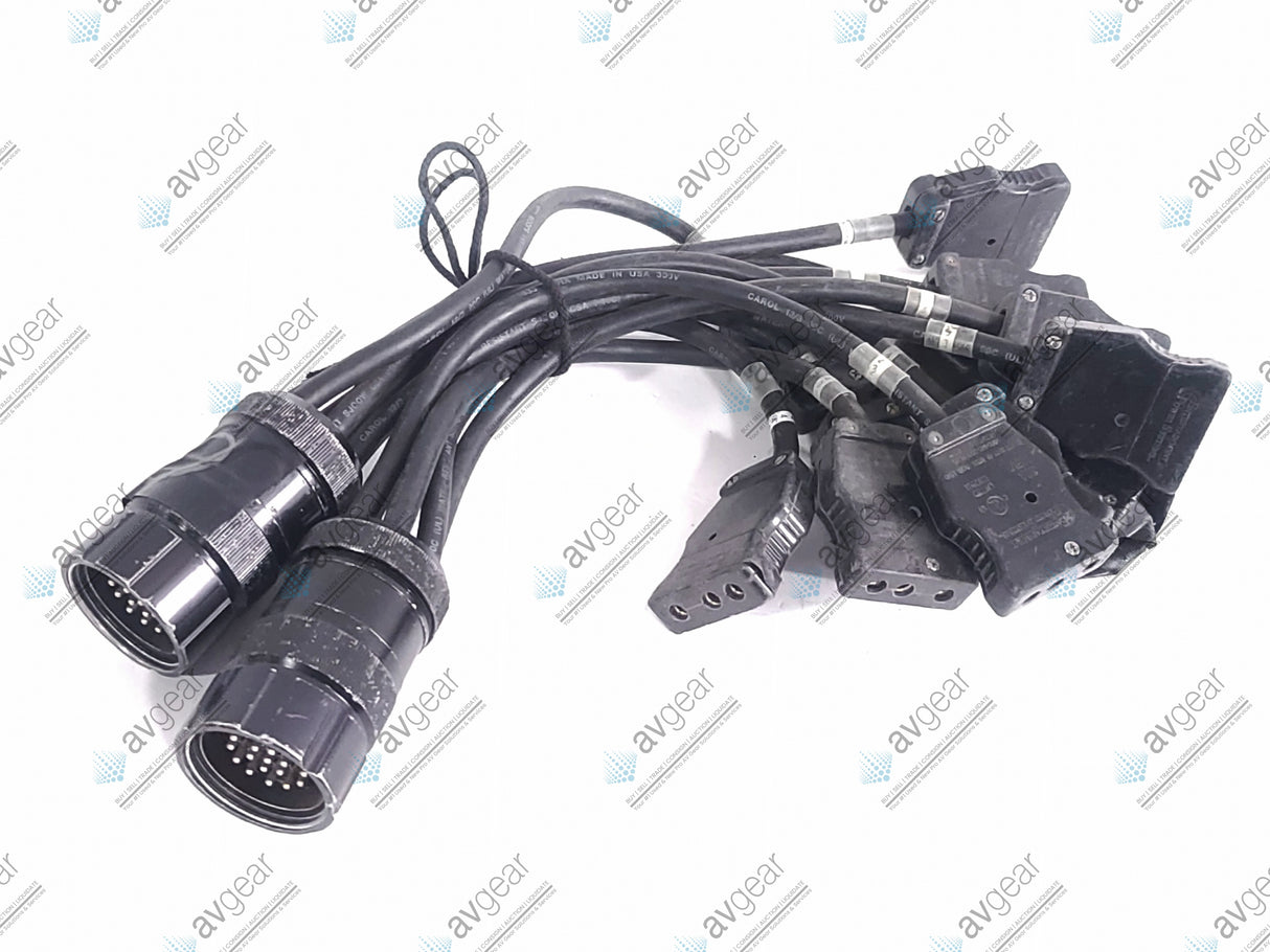 (2) Male 19-Pin Socapex to (6) Female Stage Pin 1' Fan Out Cables