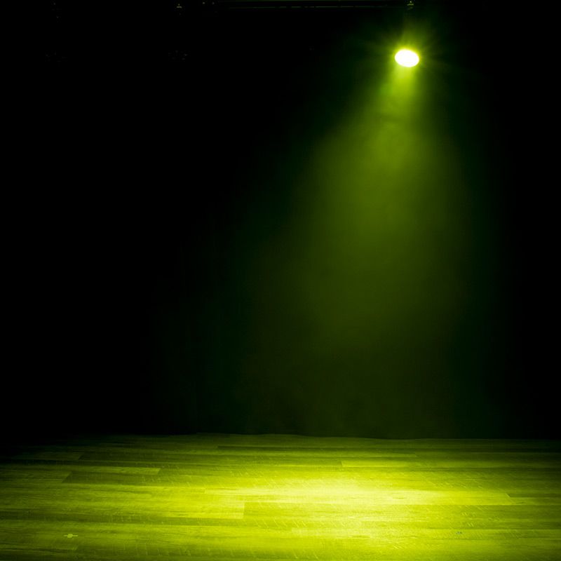 ADJ ENC355 Encore LP5IP Heavy-Duty IP65 Outdoor-Rated LED PAR (RGBL)