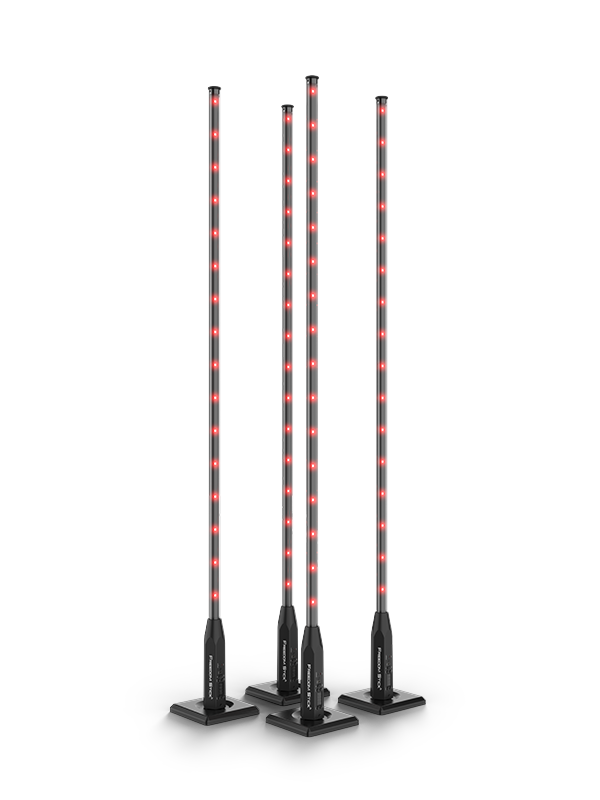 CHAUVET DJ Freedom Stick X4 Battery-Powered RGB LED Tube Kit with Stands & Case (4-Pack)