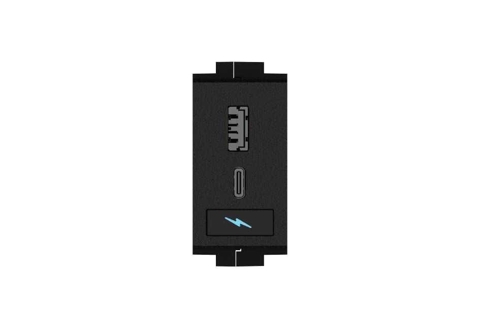 Crestron FT2A-CHGR-USBA/C USB Rapid Charging Module