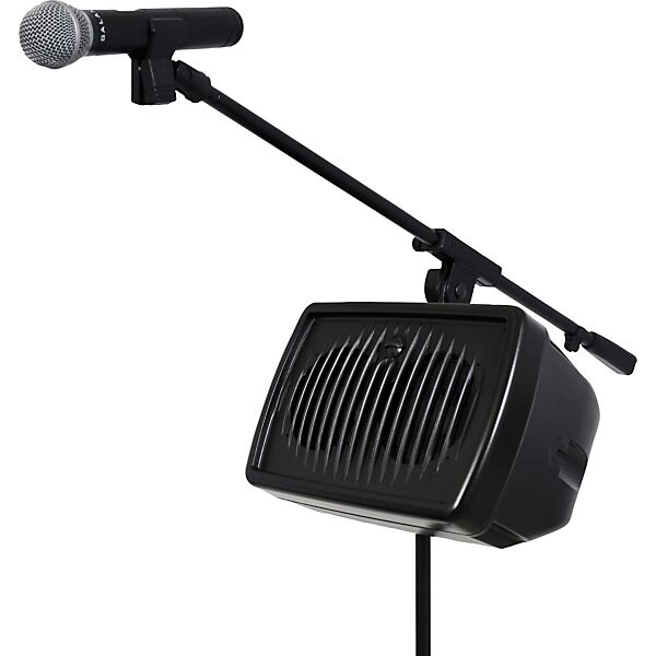 Galaxy Audio HS7 Hot Spot Passive Compact Stage Monitor