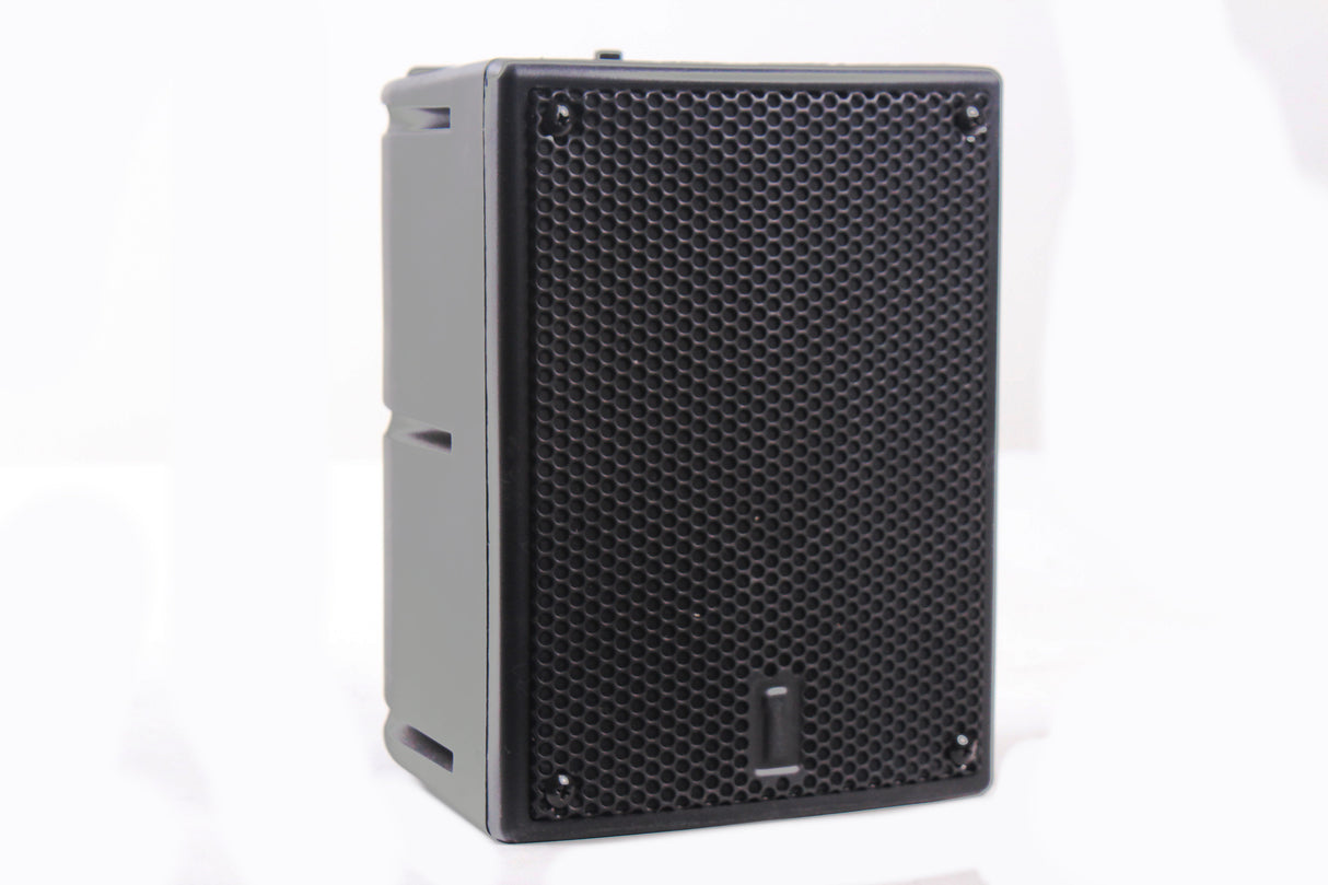 One Systems 103IM Direct Weather High Performance Loudspeaker