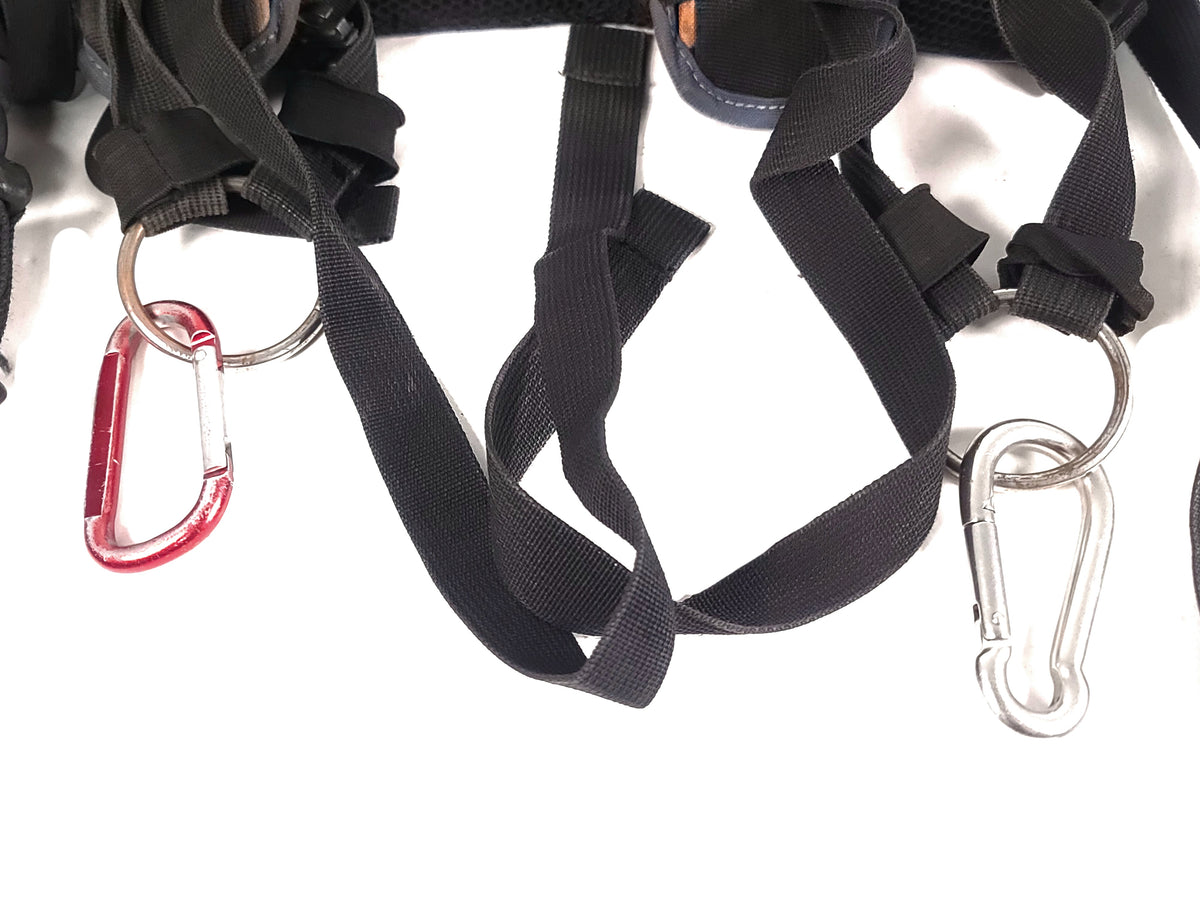 Petrol Professional Video Harness