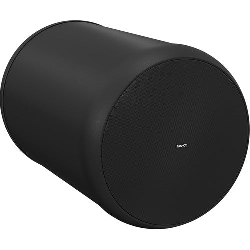 Tannoy OCV6 6" Coaxial Full-Range Pendant Loudspeaker