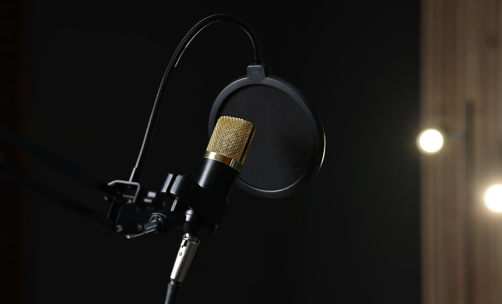 Condenser Microphone vs Dynamic Microphone: How To Pick the Right Mic