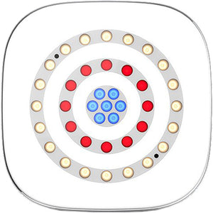 CHAUVET DJ Freedom Centerpiece 100% TRUE Wireless Uplight System (4-Pack)