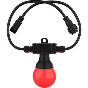 CHAUVET DJ Festoon 2 RGB LED Bulb String Light