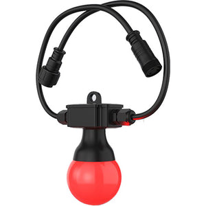 CHAUVET DJ Festoon 2 RGB EXT Bulb String Light Extension