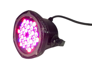 (8) Coemar ParLite LED Lights (Black)