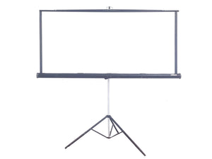 8' x 8' Projection Screen, (2) 6' x 6' Projection Screen w/ Stands