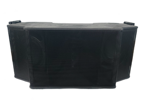 Bose Professional RoomMatch RM5505 Array Speaker