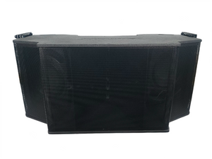 Bose Professional RoomMatch RM5510 Array Speaker
