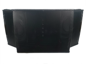 Bose Professional RoomMatch RM5520 Array Speaker