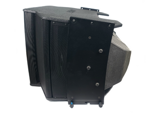 Bose Professional RoomMatch RM5510 Array Speaker