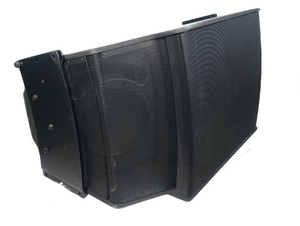 Bose Professional RoomMatch RM5520 Array Speaker