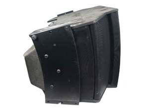 Bose Professional RoomMatch RM5520 Array Speaker