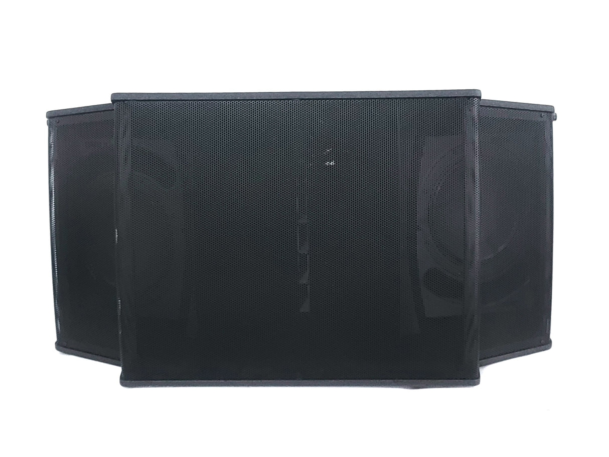 Bose Professional RoomMatch RM5520 Array Speaker