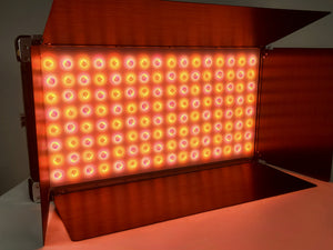 Cream Source Vortex8 2x1 RGBW 650W LED Light w/ Mount, Diffuser, Jumper Cable & Barn Doors