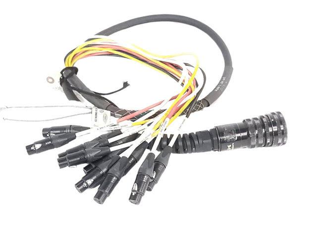 5' 24 AWG Audio Cable