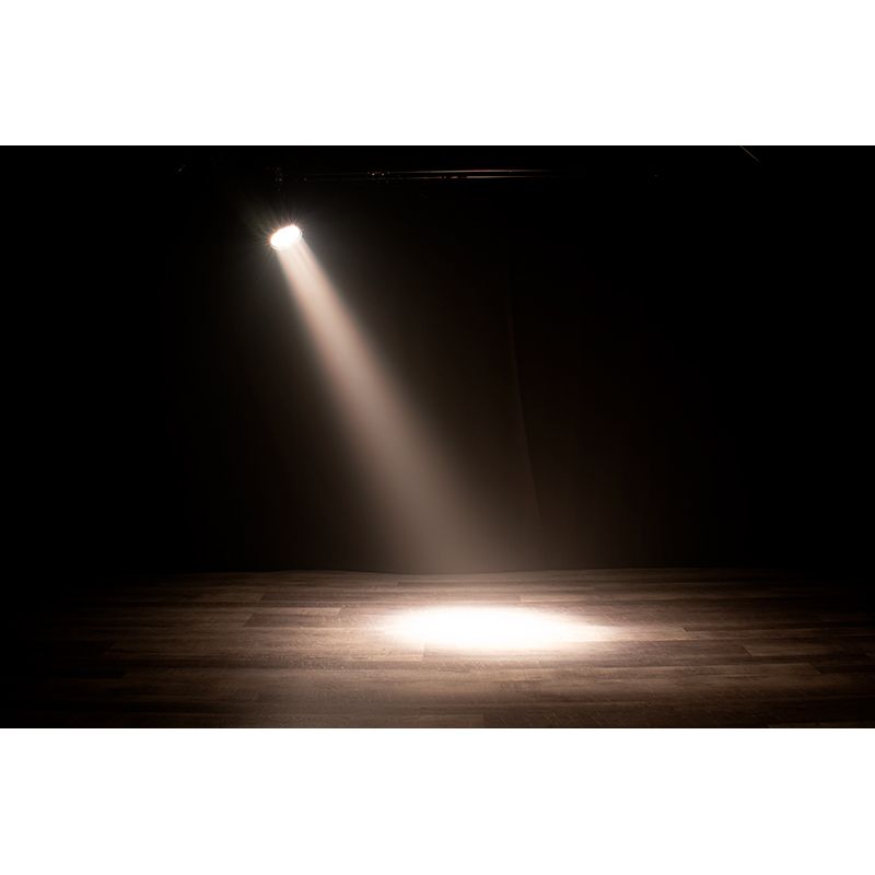 ADJ ENC341 Encore LP12IP Heavy-Duty IP65 Outdoor Rated RBGL LED Par