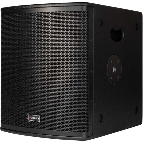 (NEW) Ashly SP12.1P-U 12in Extended Dynamics Passive Subwoofer