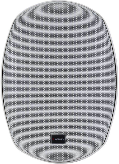 (NEW) Ashly AW8.2TW-U 8in 2-Way Surface-Mount Speaker White