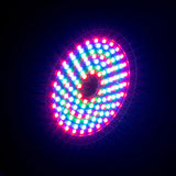 American DJ Startec Rayzer 2-FX-In-1 RGB LED and Laser Party Light