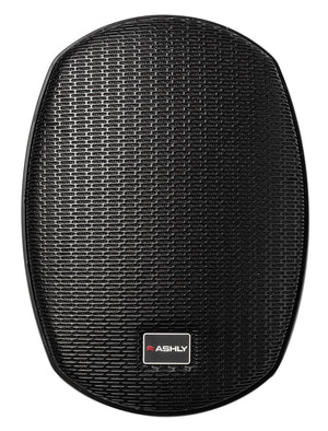Ashly AW5.2T 5" Passive 2-Way All Weather Speaker with Transformer