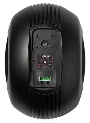 Ashly AW5.2T 5" Passive 2-Way All Weather Speaker with Transformer