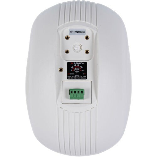 Ashly AW 5.2T+ Passive 5" 2-Way Surface-Mount Indoor/Outdoor Speaker with Transformer (Pair)