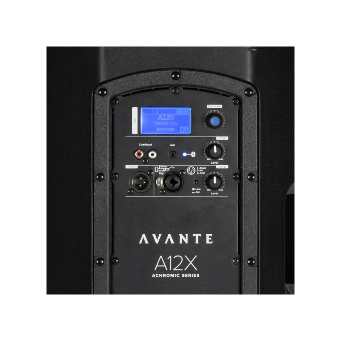 Avante Audio A12X-B Achromic X Series 12" 2-Way Active Loudspeaker