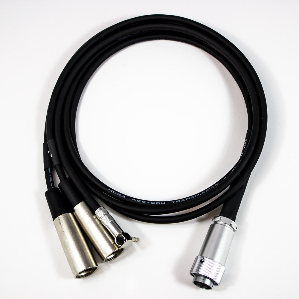 Azden AZDEN-MX-10 10-Pin to Dual-XLR Output Cable for FMX-42a Mixer