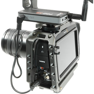 Azden AZDEN-MX-M1 3.5mm Male TRS to Mini-XLR Male Cable