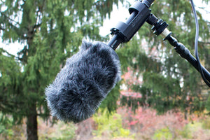 Azden AZDEN-SWS-100 5" Foam/Furry Combo Windshield for Azden Shotguns