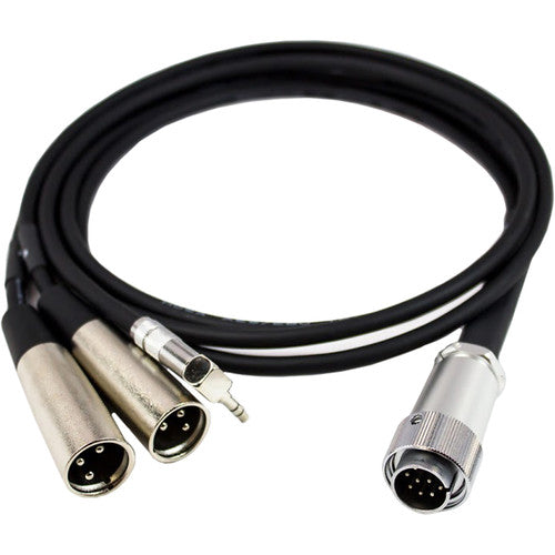 Azden MX-10 10-Pin to Dual-XLR Output Cable for FMX-42a Mixer