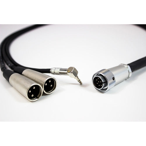 Azden MX-10 10-Pin to Dual-XLR Output Cable for FMX-42a Mixer
