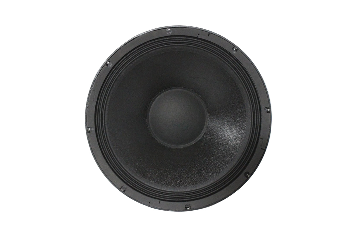 Apogee Sound 110-04 12" Driver