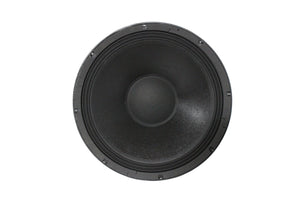 Apogee Sound 110-04 12" Driver