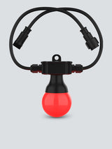 CHAUVET DJ Festoon 2 RGB LED Bulb String Light