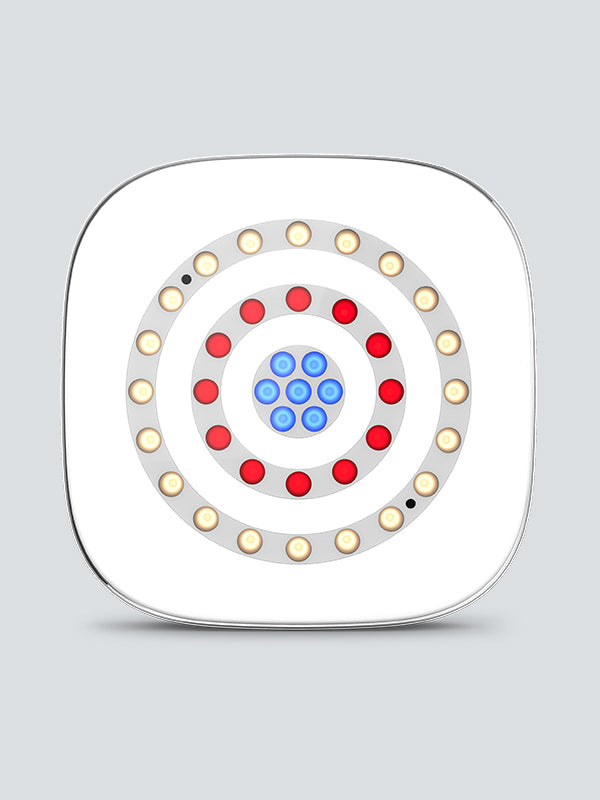 CHAUVET DJ Freedom Centerpiece 100% TRUE Wireless Uplight System (4-Pack)