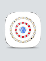 CHAUVET DJ Freedom Centerpiece 100% TRUE Wireless Uplight System (4-Pack)