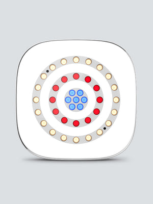 CHAUVET DJ Freedom Centerpiece 100% TRUE Wireless Uplight System (4-Pack)