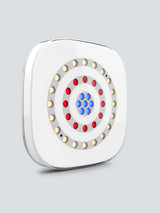 CHAUVET DJ Freedom Centerpiece 100% TRUE Wireless Uplight System (4-Pack)