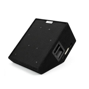 EAW SM500 15" 2-way Stage Monitor