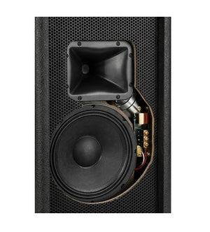EAW VFR69-BK 2-Way Full Range Passive Loudspeaker (Black)
