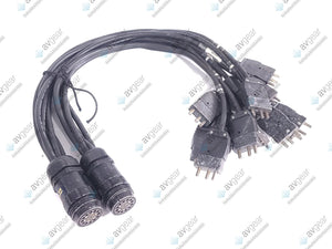 (2) Female 19-Pin Socapex to (6) Male Stage Pin Fan Out Cables