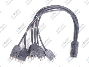 (2) Female 19-Pin Socapex to (6) Male Stage Pin Fan Out Cables