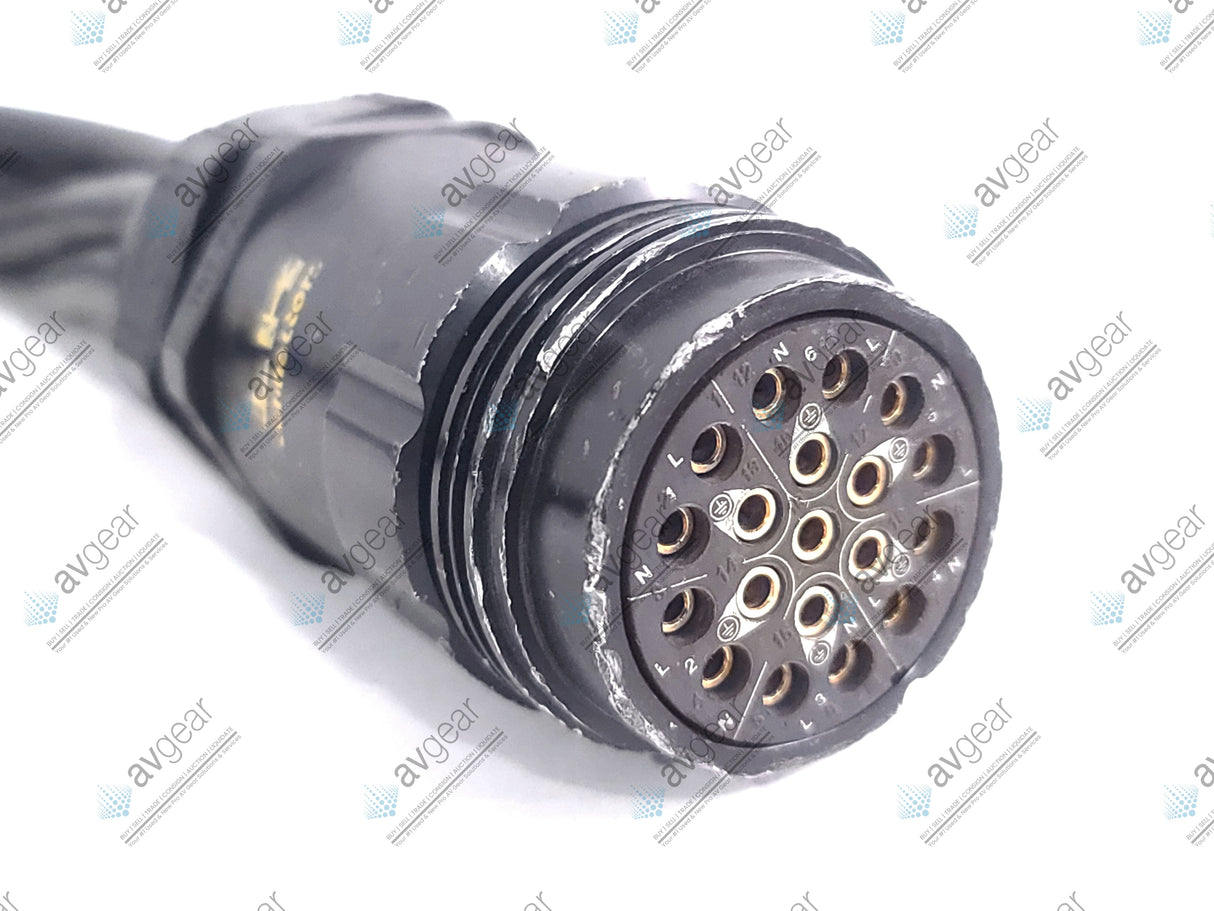 (2) Female 19-Pin Socapex to (6) Male Stage Pin Fan Out Cables