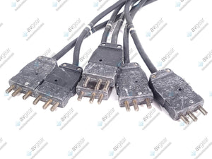 (2) Female 19-Pin Socapex to (6) Male Stage Pin Fan Out Cables